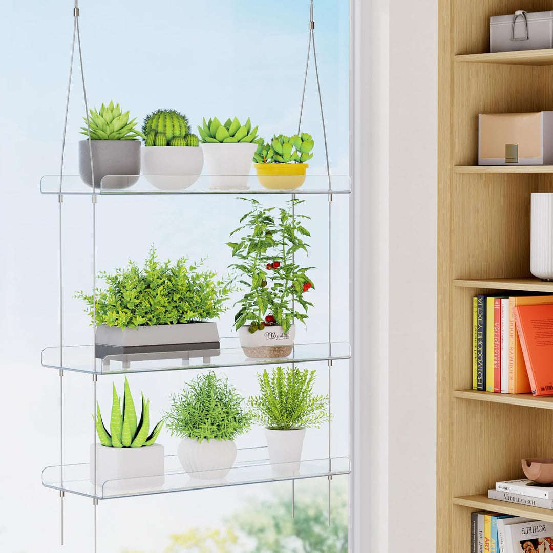 Lifewit Wandregal Blumentopf, 2 Stufen Transparent Vertiefung Kunststoff Pflanzenregal Schwimmende f