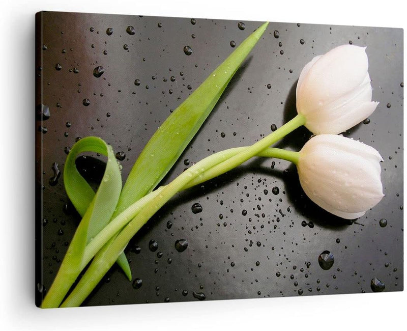 Bilder auf Leinwand Tulpen Blume Pflanzung Pflanze Leinwandbild 70x50cm Wandbilder Dekoration Wohnzi