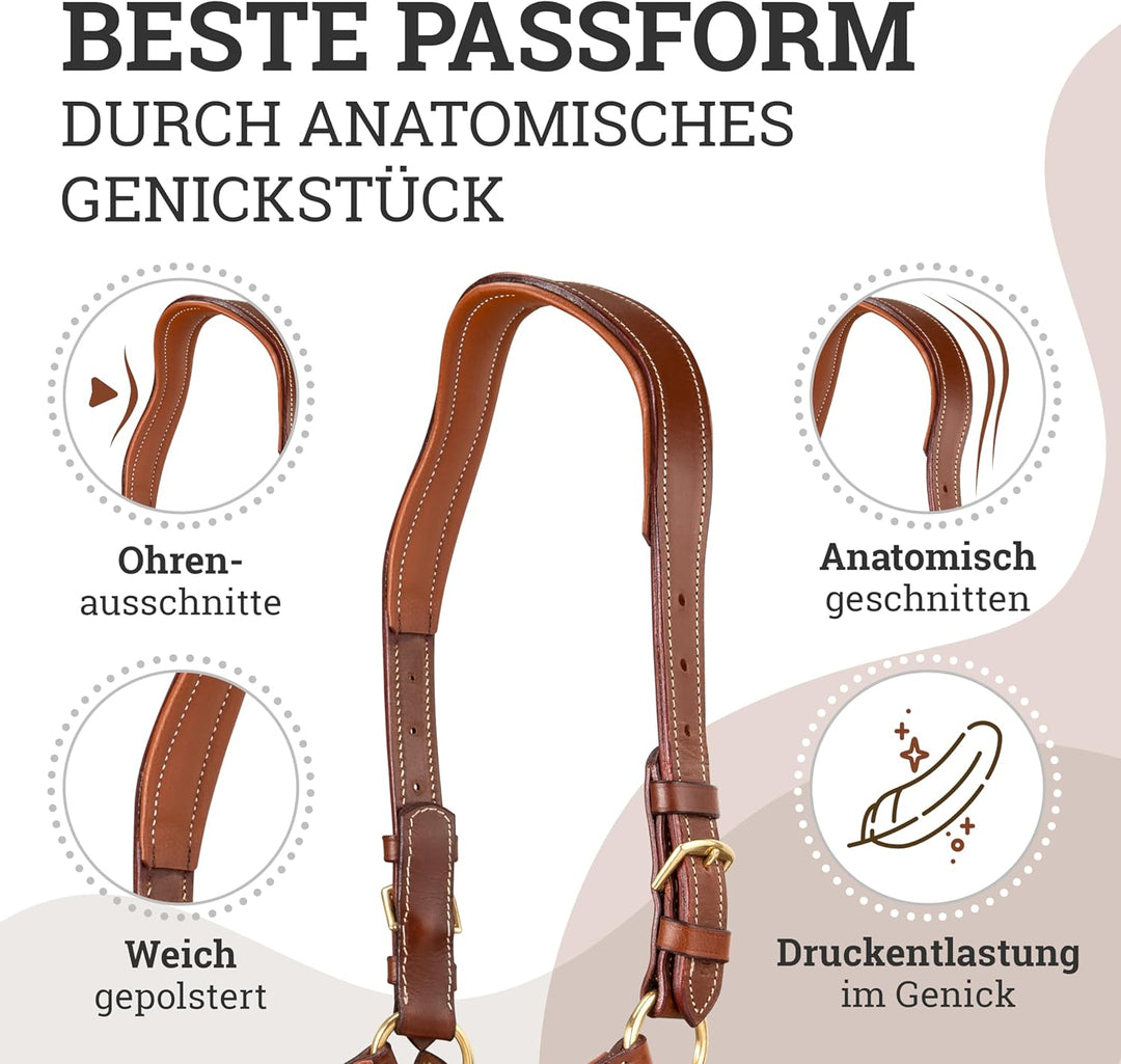 Esposita anatomisches Lederhalfter Deluxe Halfter aus Leder für Pferde Stallhalfter Pferdehalfter -