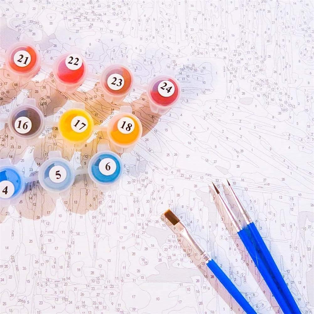 KOMKING Malen nach Zahlen für Kinder und Erwachsene mit Rahmen, DIY Acryl Malen nach Zahlen Leinwand