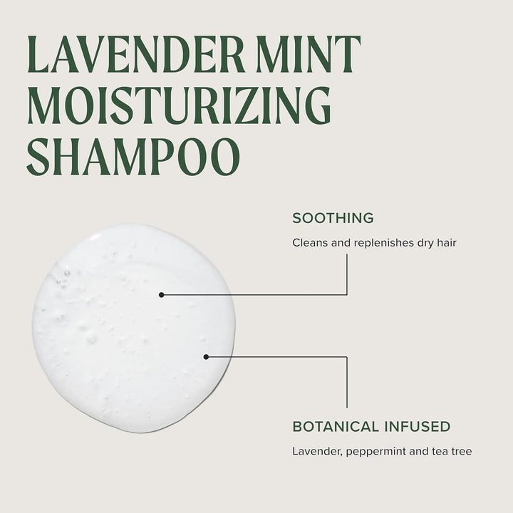 Paul Mitchell Tea Tree Lavender Mint Moisturizing Shampoo - Feuchtigkeits-Shampoo für trockenes, ges