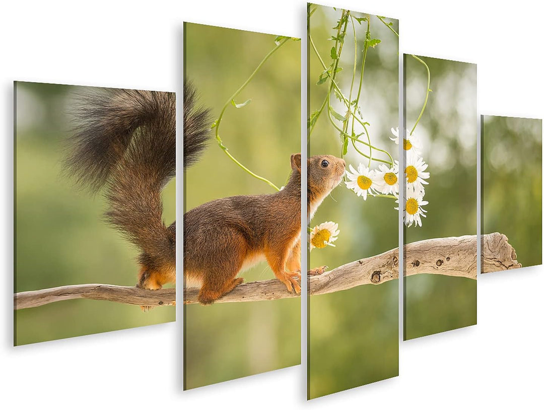 islandburner Bild auf Leinwand süsses Eichhörnchen auf AST mit Blumen Wandbild Poster Kunstdruck Bil
