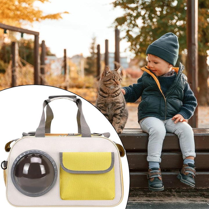 Haustiertransportbox | Tragbox Mit Blasenfenster Für Katzen | Tragbare Katzentransportbox Für Abente