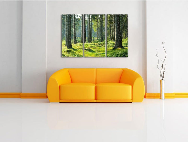 Pixxprint sonniger Tag im Wald / 3-Teilig/Gesamtmass 120cm Leinwandbild bespannt auf Holzrahmen/Wand
