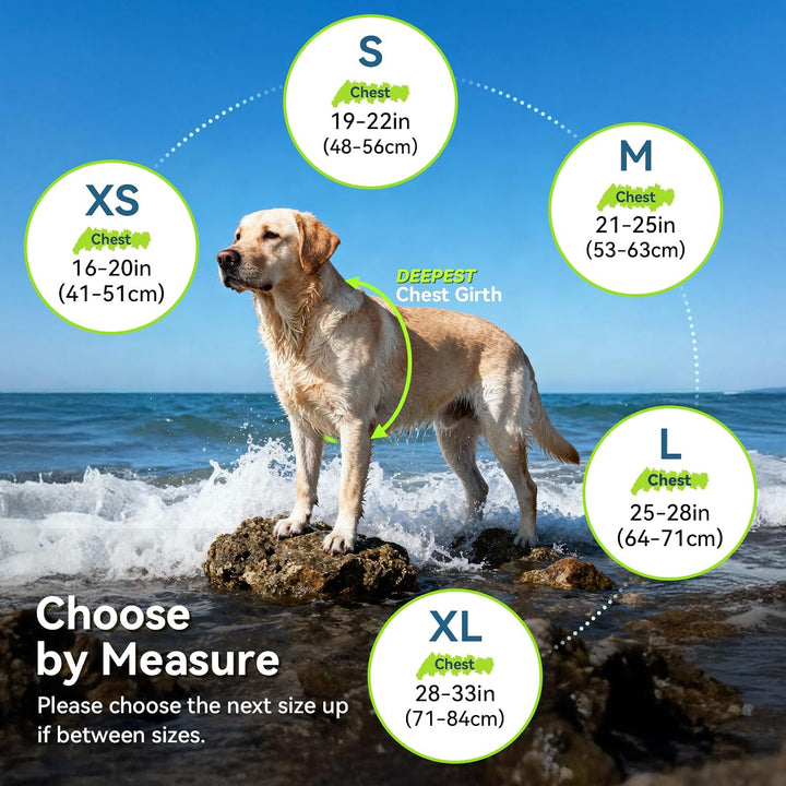 VIVAGLORY Hunde Schwimmweste High Buoyancy Hundeschwimmweste, XL, Orange | Rettungswesten Hunde-Schw