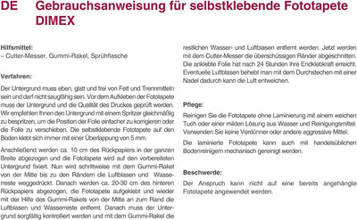 DIMEX Küchenrückwand Folie selbstklebend Obst | Klebefolie - Dekofolie - Spritzschutz für Küche | Pr