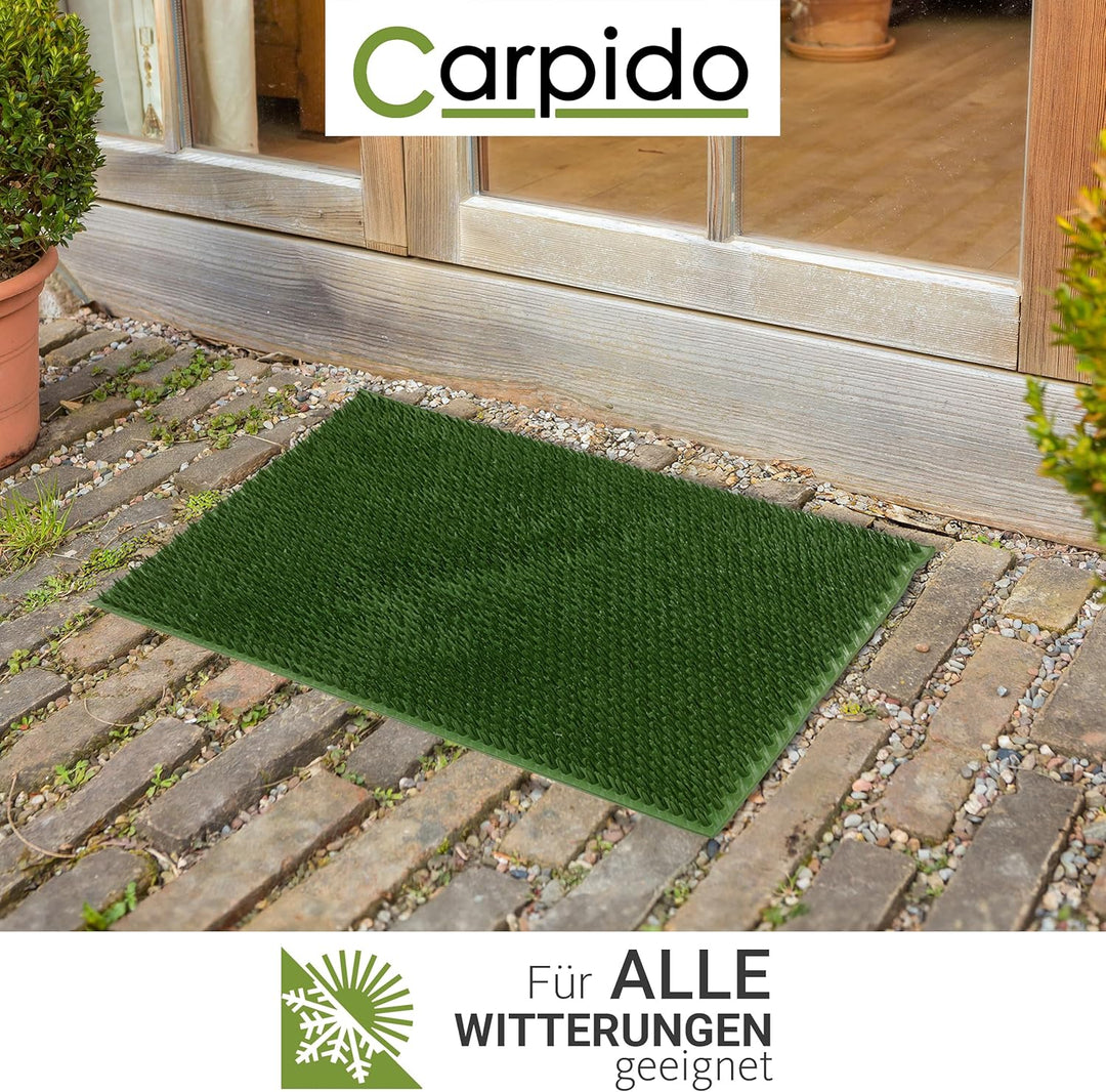 Carpido Wetterfeste Fussmatte Garten - Grün 2er Set 40x60 cm - Outdoor Schmutzfangmatte - Türmatte l