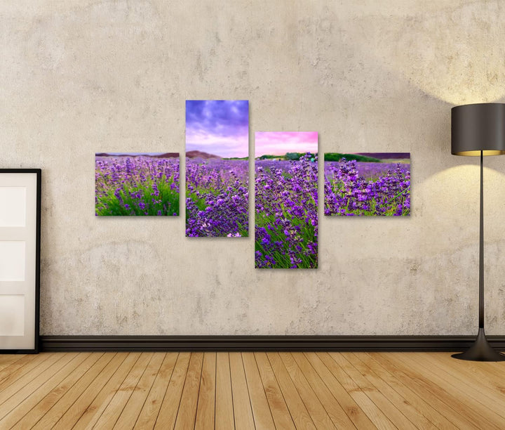 islandburner Bild auf Leinwand Sonnenuntergang Über Einem Lavendelfeld Tihany Ungarn Bilder Wandbild