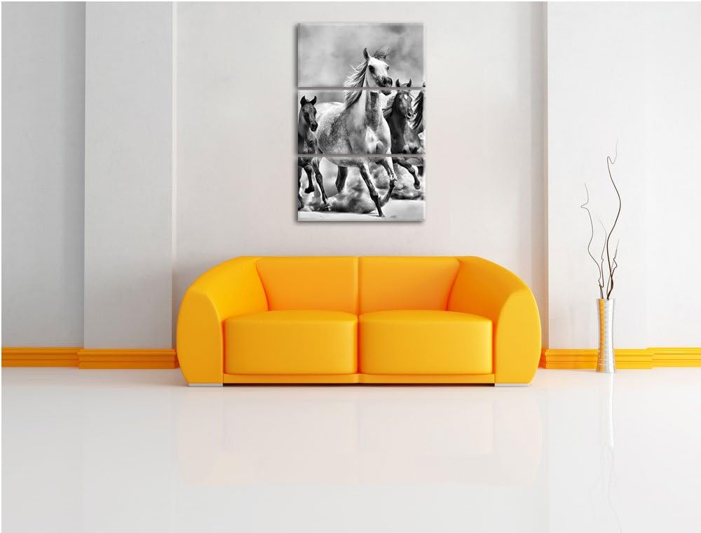 Pixxprint Western Pferde Fohlen / 3-Teilig/Gesamtmass 120cm Leinwandbild bespannt auf Holzrahmen/Wan