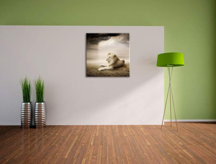 Stolzer weisser Löwenkönig, Format: 70x70 auf Leinwand, XXL riesige Bilder fertig gerahmt mit Keilra