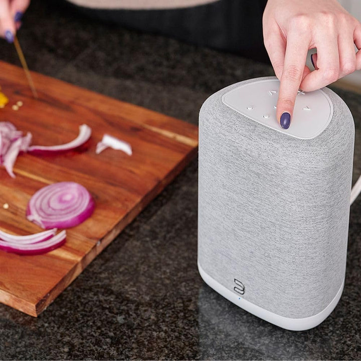 Bluesound Pulse Flex kabelloser Bluetooth Hi-Res All-in-One-Lautsprecher, AirPlay 2, Spotify Connect