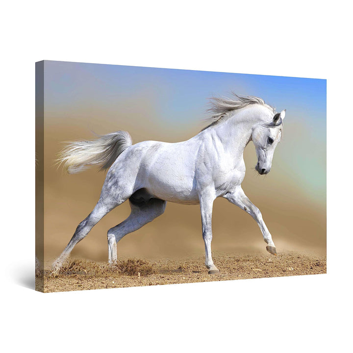 Startonight Bilder Arabisches Pferd, Leinwandbilder Moderne Kunst, Tiere Wanddeko Kunstdrucke, Wandb