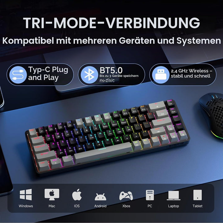 Dierya DK68 Kabellose Gaming Tastatur Bluetooth/2.4GHz/USB-C,68 Tasten RGB Beleuchtung Mechanische T