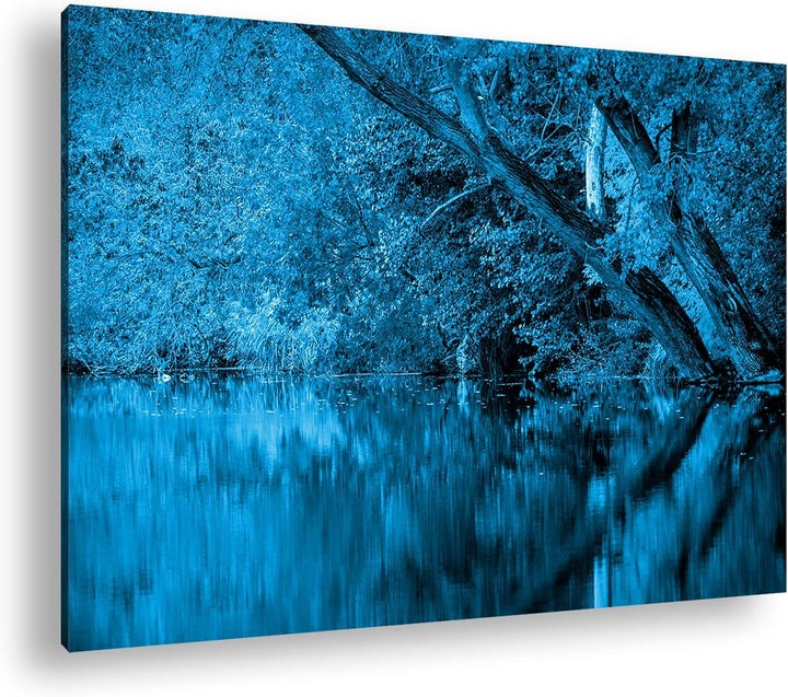 deyoli Bäume am Seeufer im Herbst Format 100x70 Effekt: Monocrome Blau als Leinwandbild, Motiv ferti