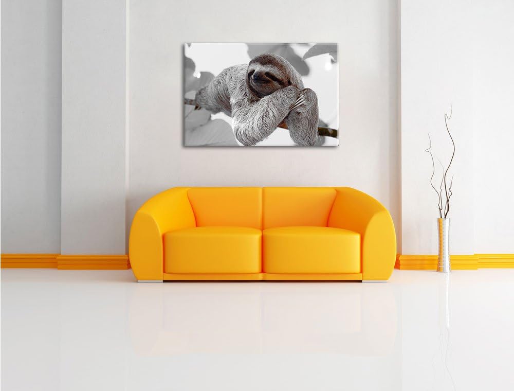 Pixxprint schönes Faultier hängt von AST als Leinwandbild/Grösse: 100x70 cm/Wandbild/Kunstdruck/fert