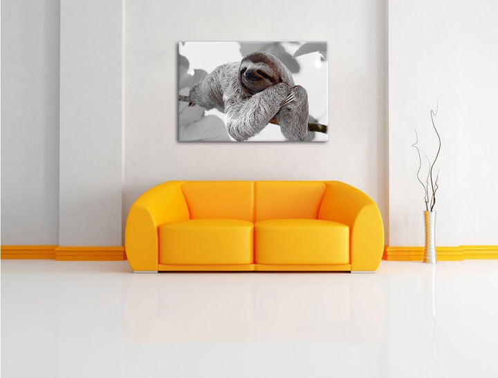 Pixxprint schönes Faultier hängt von AST als Leinwandbild/Grösse: 100x70 cm/Wandbild/Kunstdruck/fert