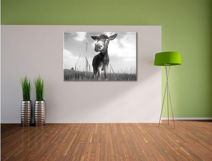 Pixxprint Esel im Feld als Leinwandbild/Grösse: 100x70 / Wandbild/Kunstdruck/fertig bespannt, 100x70