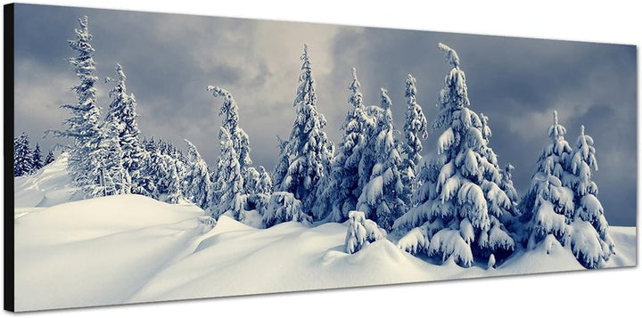 Paul Sinus Art Panoramabild auf Leinwand und Keilrahmen 150x50cm Winterlandschaft Bäume Schnee Wolke