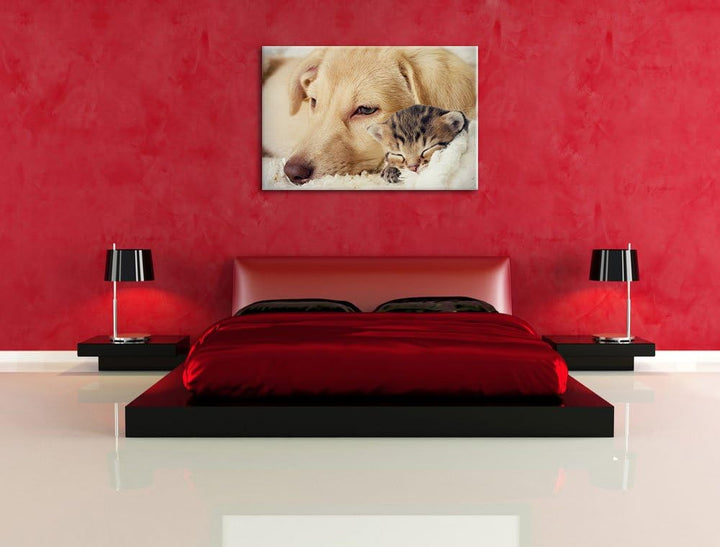 Pixxprint Träumendes Kätzchen neben Hund als Leinwandbild/Grösse: 100x70 / Wandbild/Kunstdruck/ferti