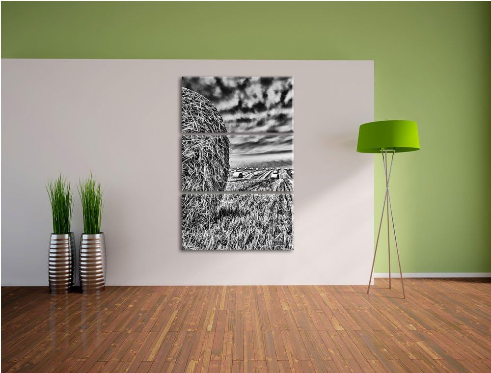Pixxprint Monocrome, Feld im Sonnenuntergang 3-Teiler Leinwandbild 120x80 Bild auf Leinwand