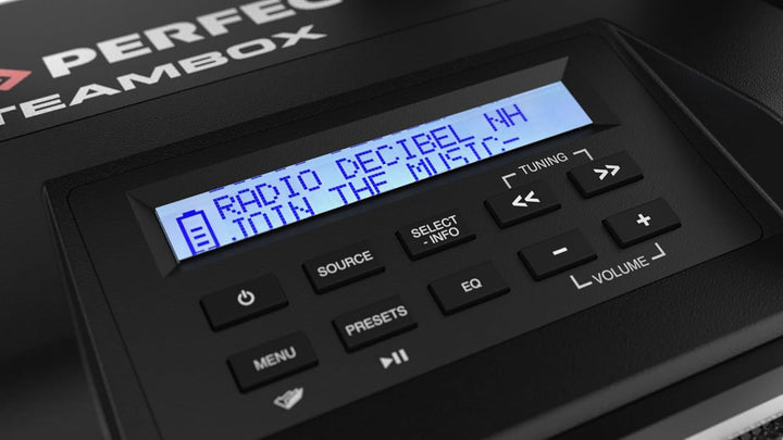 PerfectPro Baustellenradio NETBOX, WiFi internetradio, DAB+ und UKW-Empfang, Bluetooth, AUX und USB-