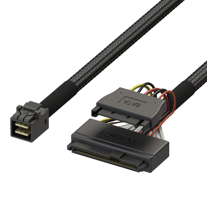 LINKUP - Internal 16G U.2 Cable (85Ω 85ohm PCIe Gen 4 Mini SAS HD to U.2/SFF-8643 to SFF-8639 Cable)