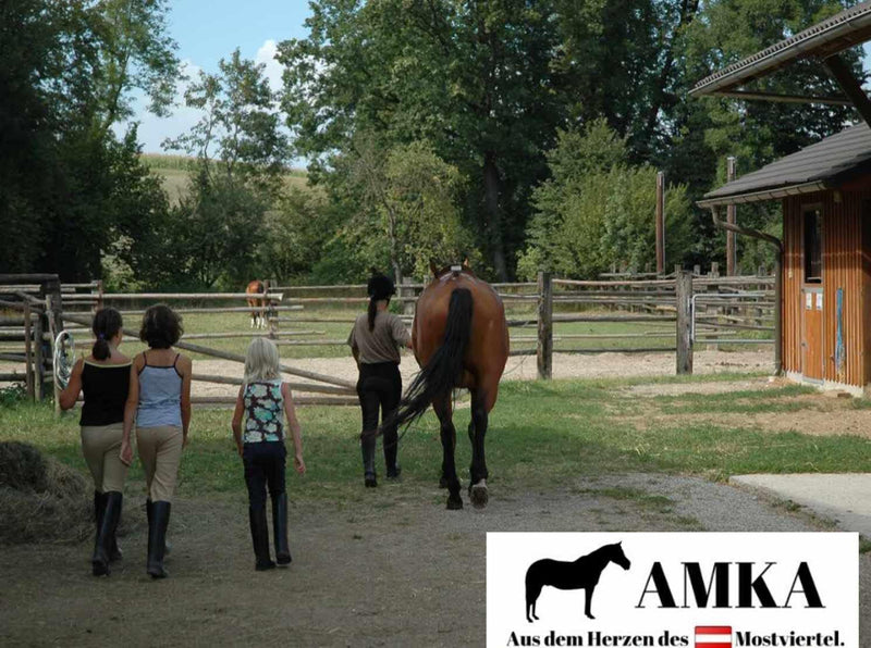 AMKA Putztasche mit verstellbarem Trageriemen + 6 Zusatzfächer