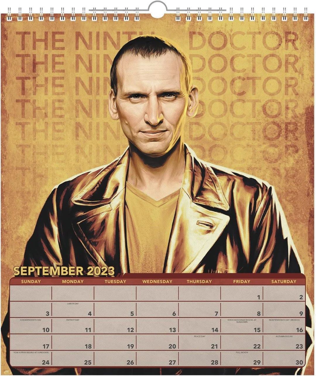 Day Dream Calendars DDSE652823 Doctor Who Monatskalender, Sonderausgabe, 16 Monate, 33 x 38 cm Docto