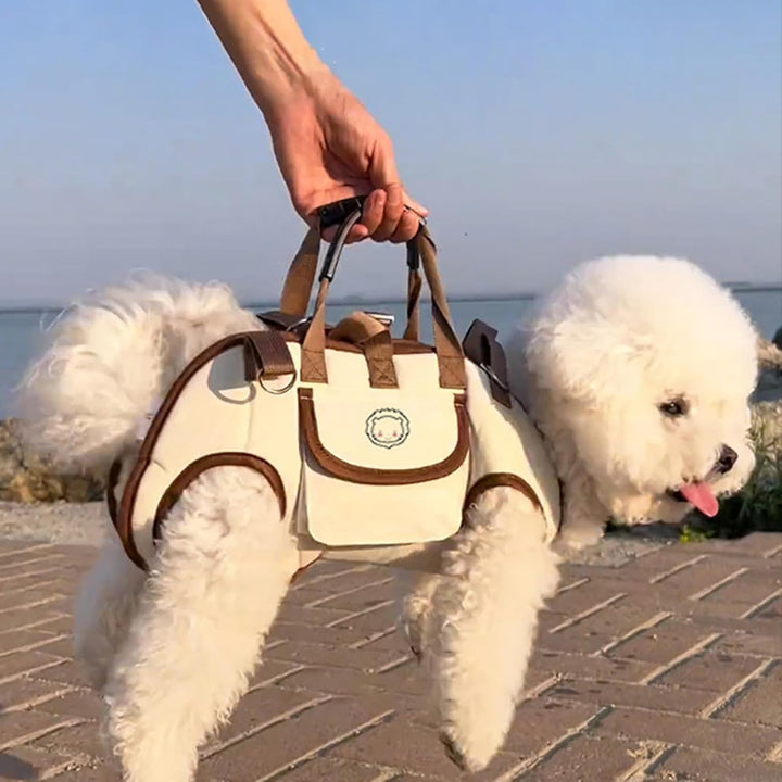 Hundetrage,Katzentransport Mit Snacktasche | Tragbare Haustier Tragehilfe Verstellbare Ausflugstasch