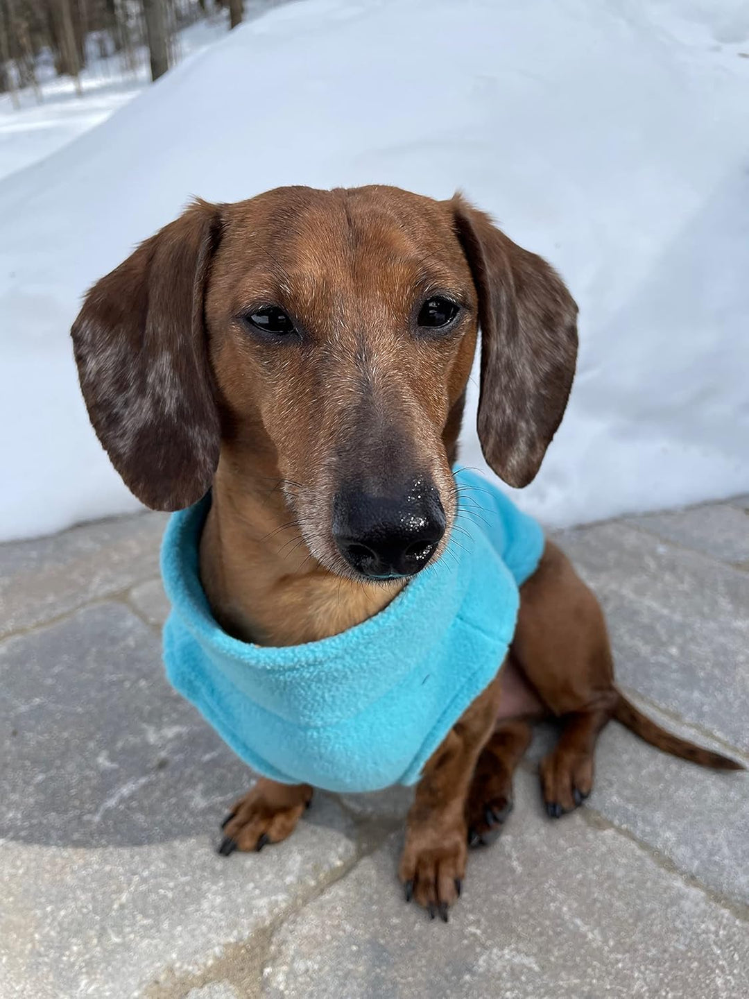GOOBY Zip Up Fleece-Weste für kleine Hunde türkis mittel, türkis mittel