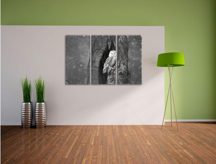 Pixxprint Schleiereule Baumhöhle / 3-Teilig/Gesamtmass 120cm Leinwandbild bespannt auf Holzrahmen/Wa