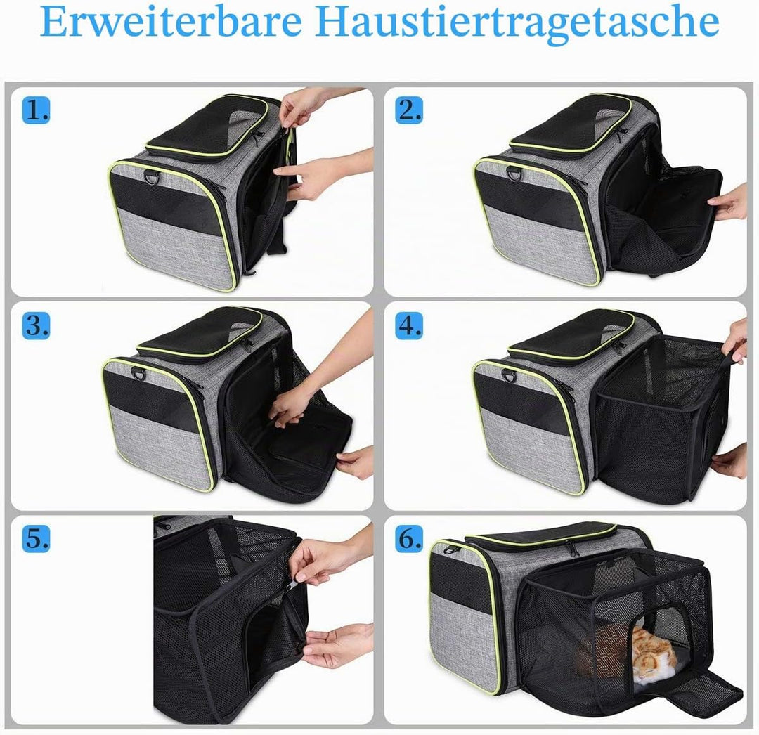 TAMOWA Transportbox Katze Transportbox Hund Faltbare Hundetragetasche, Faltbare Katzentragetasche mi