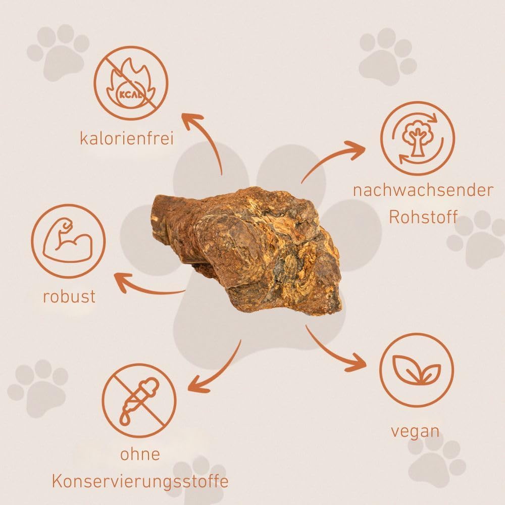 Wildfang® 3 Kauwurzel Hund (Grösse L) – Natürliches Kauholz aus Baumheide – Langlebiges & splitterfr