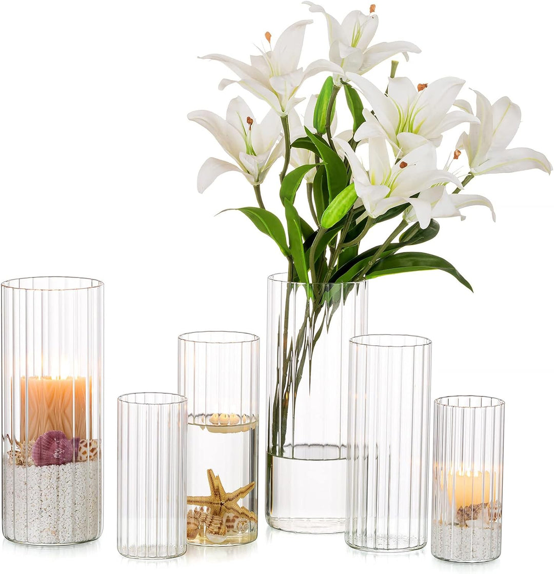 Nuptio Glasvase für Blumen Zylinder: 6 Stück Klare Blumenvasen für Hochzeit Tafelaufsätze Hurrikan-k