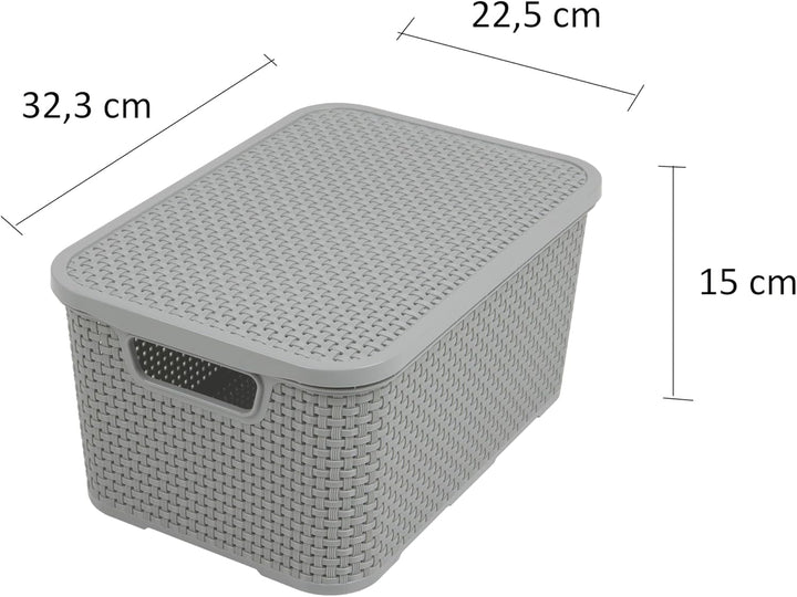 BranQ - Home essential Basket with Lid in Rattan Design Set of 2 Size M 10 L BPA-Free Plastic PP Lig