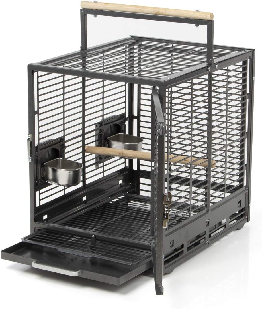 Montana Cages | Transportkäfig EVO für Sittiche &amp; Papageien - Antik | Transportkäfig &amp; Reisekäfig Sc