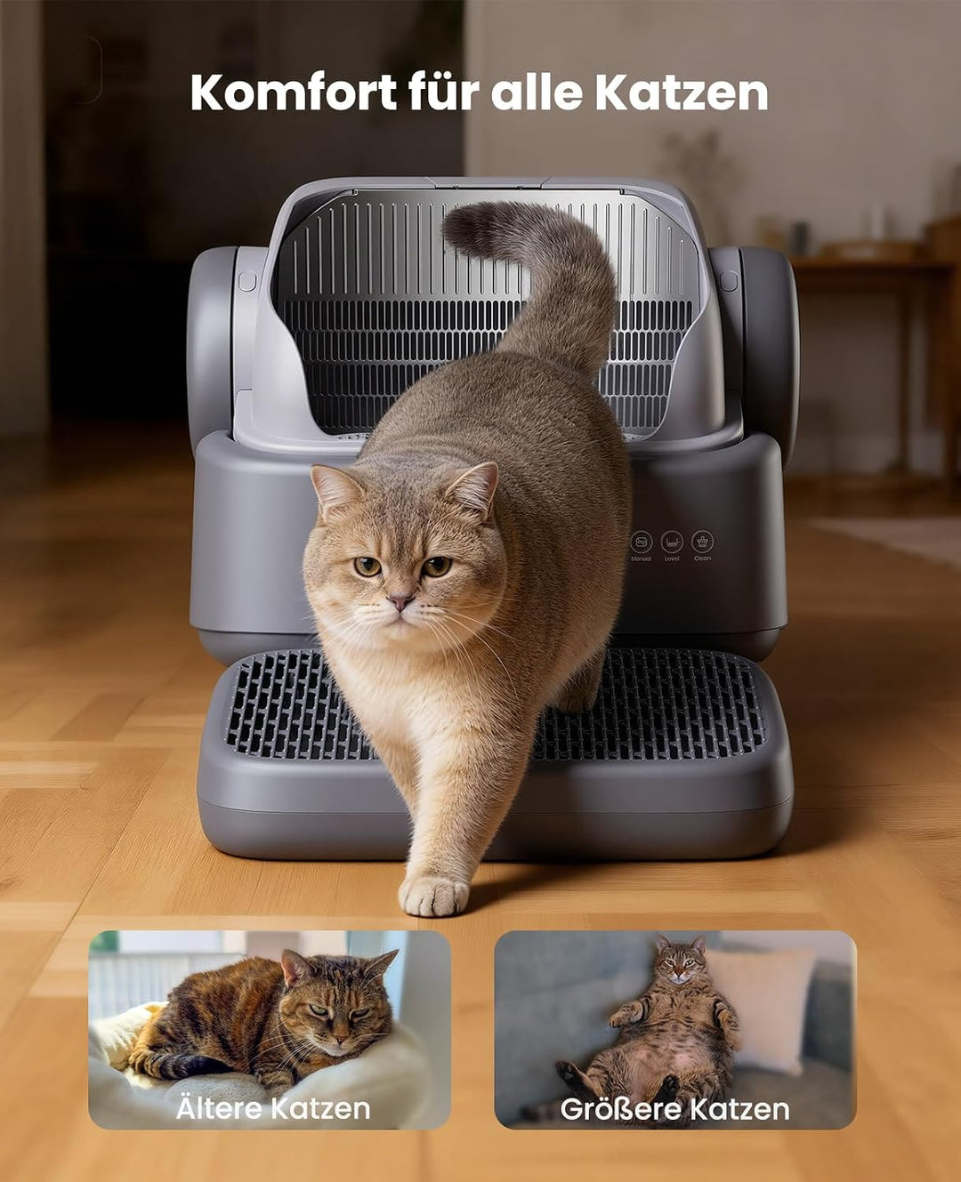CB01 Katzentoiletten Zubehör-katzenklo Rampe, Katzenstreu Auffangvorrichtung Rampenbox