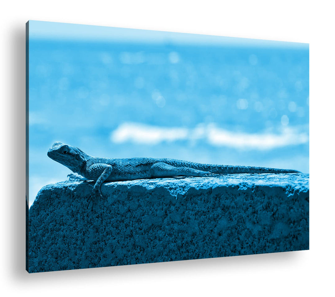 deyoli Gecko sonnt sich Format 100x70 Effekt: Monocrome Blau als Leinwandbild, Motiv fertig gerahmt