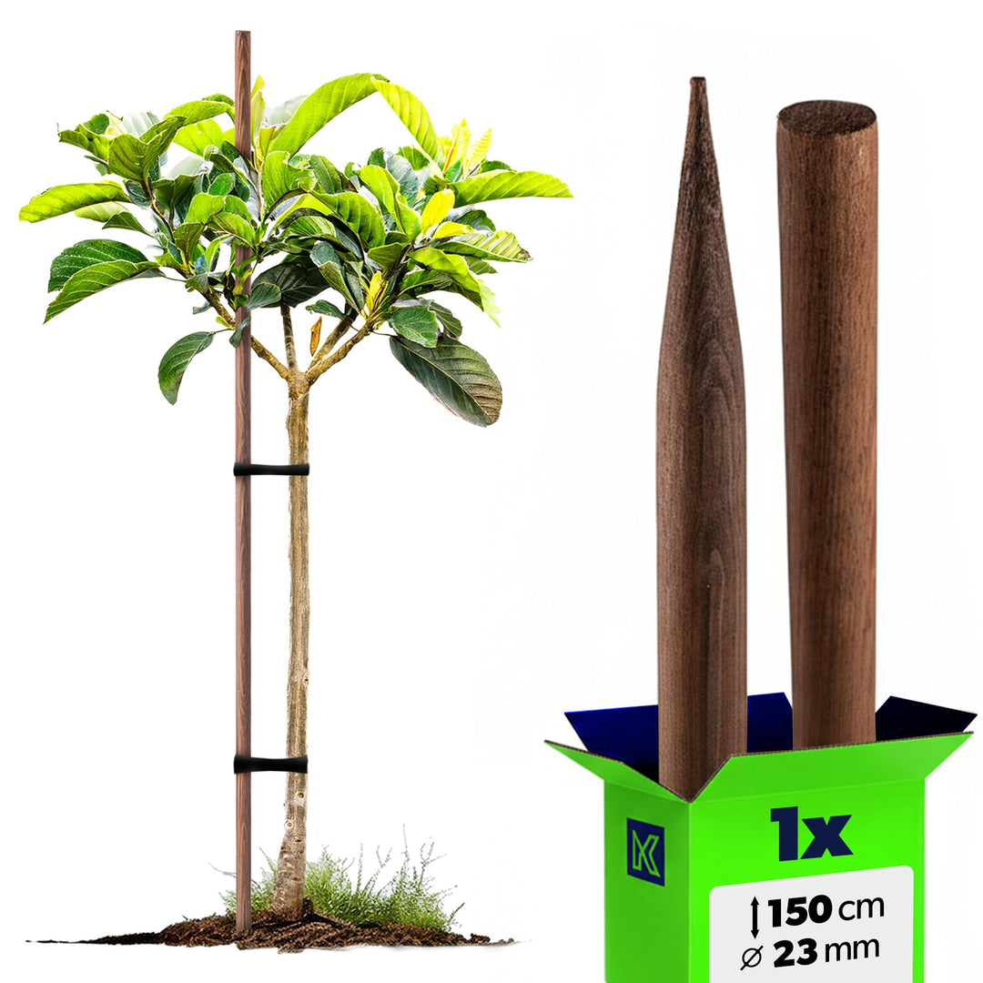 KADAX Holzstab 150 cm x 23 mm, Pflanzstab aus imprägniertem Holz, Pflanzenstütze, Holzpfahl als Rank