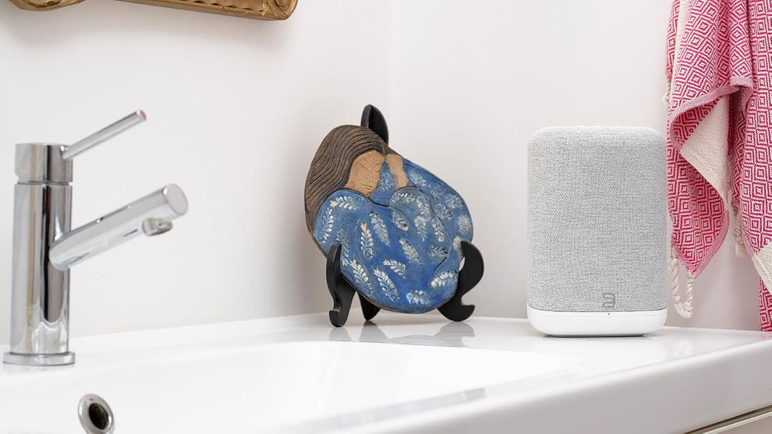Bluesound Pulse Flex kabelloser Bluetooth Hi-Res All-in-One-Lautsprecher, AirPlay 2, Spotify Connect