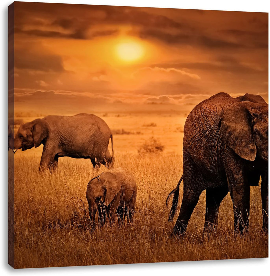 Pixxprint Elefanten in der Savanne als Leinwandbild Quadratisch/Grösse: 70x70 / Wandbild/Kunstdruck/