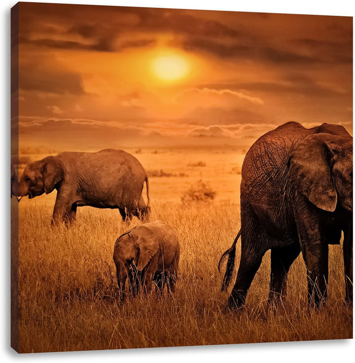 Pixxprint Elefanten in der Savanne als Leinwandbild Quadratisch/Grösse: 70x70 / Wandbild/Kunstdruck/