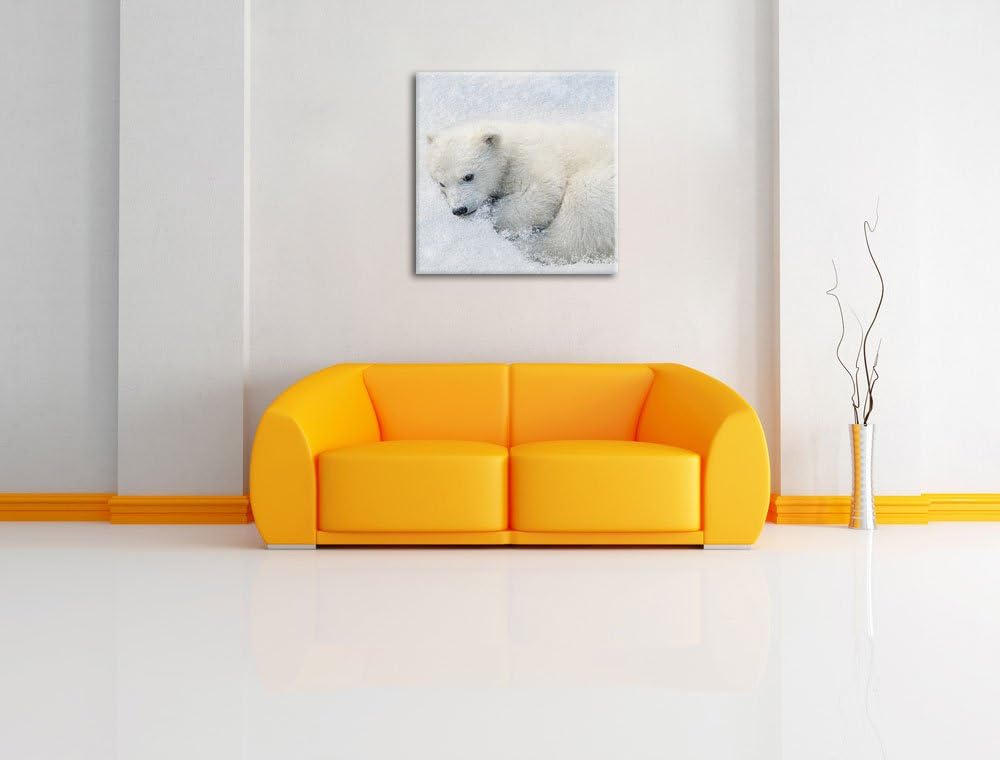 Pixxprint Süsser junger Eisbär im Schnee, Format: 70x70 auf Leinwand, 70x70