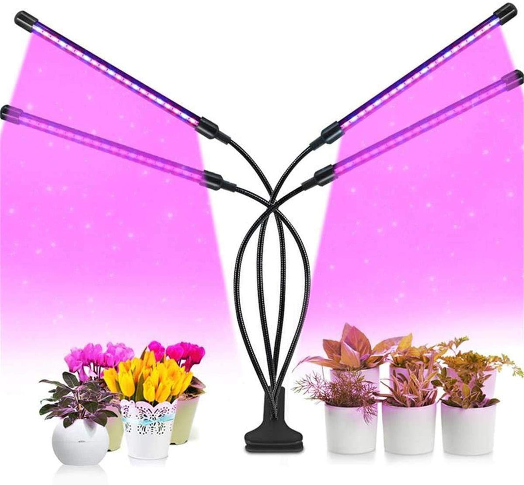 SUNTOUR Federsattelstütze SP12-NCX 31,6 mm schwarz