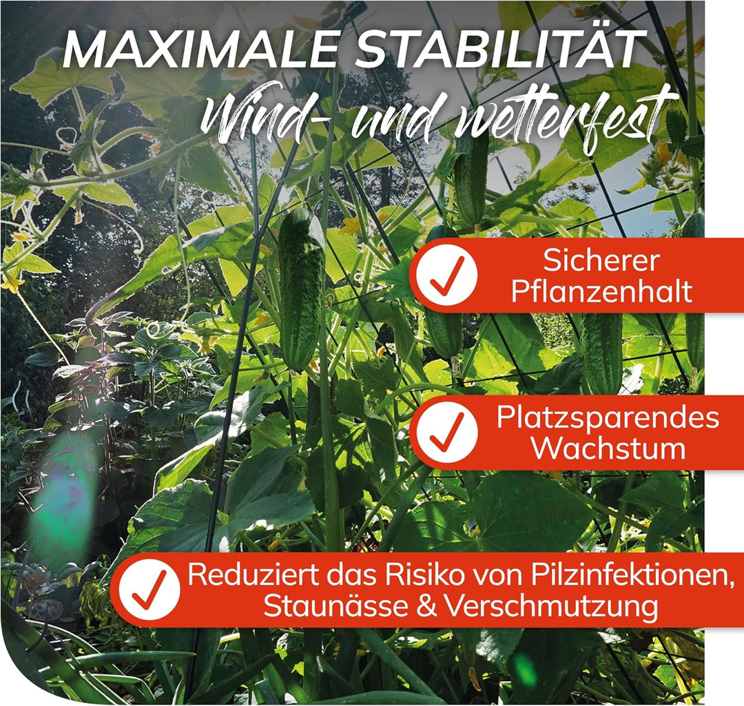 bellissa 1 Stück - Gurken-Gitter und Rankhilfe für Gurkenpflanzen und Gemüse – Rank- für Topfpflanze