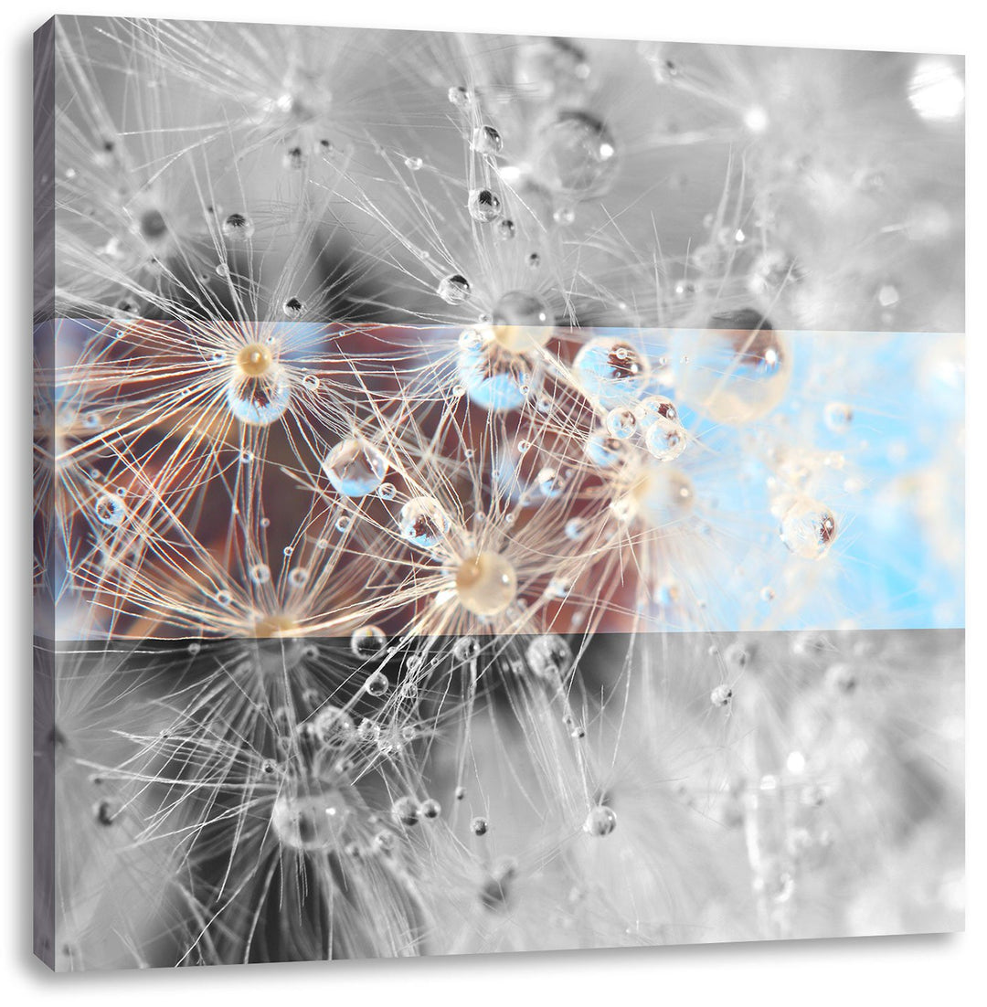Pixxprint Tropfen an Pusteblume abstrakt schwarz/weiss, Format: 70x70 auf Leinwand, 70x70