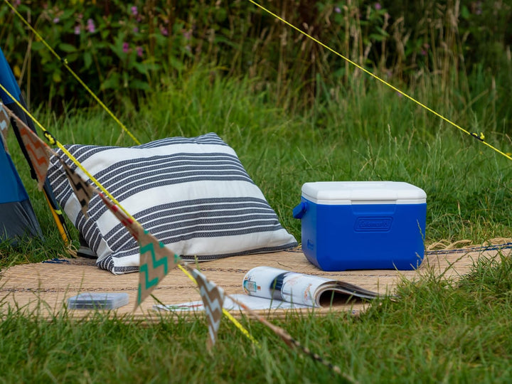 Coleman Performance 6 Personal Kühlbox, passive kleine Thermobox für Essen und Getränke, Eisbox mit