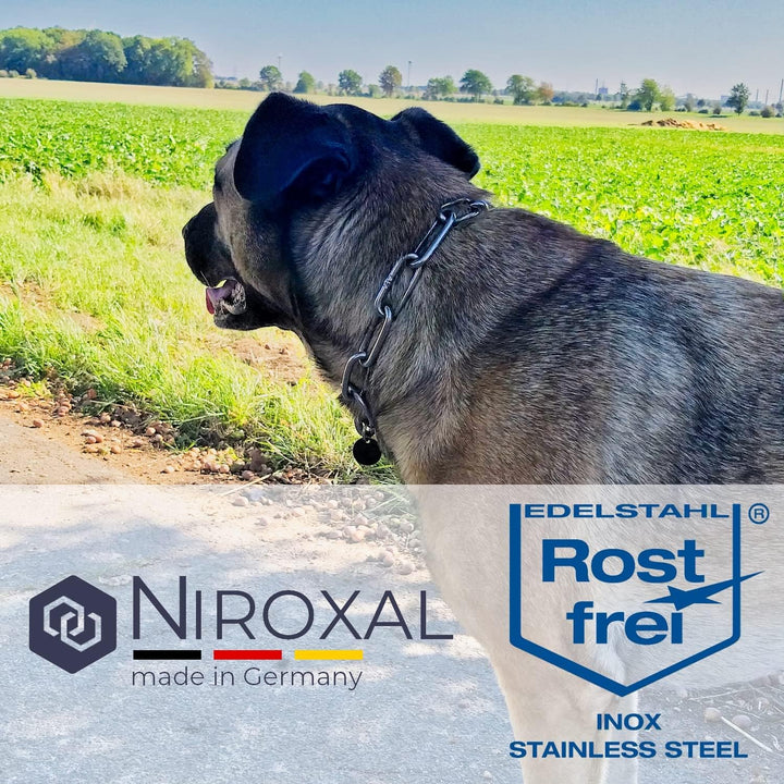 rostfreie Kombikette für Hunde - das ORIGINAL mit Zugstop - Edelstahl Hundekette Ketten Halsband kur