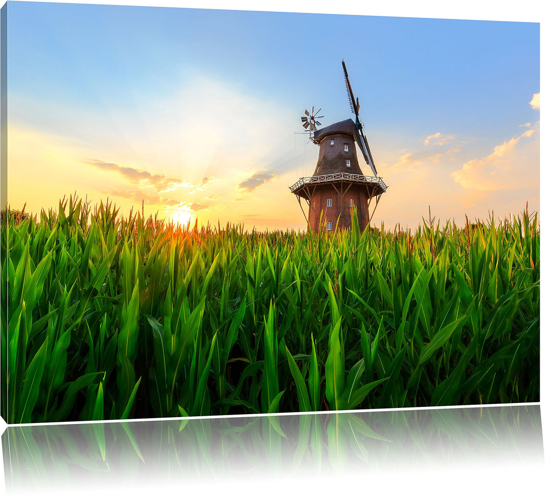 Pixxprint schöne Windmühle auf dem Feld als Leinwandbild/Grösse: 100x70 cm/Wandbild/Kunstdruck/ferti