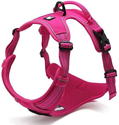 WINHYEPET Truelove Hundegeschirr No-Pull Reflektierendes verstellbar Haustiergeschirr mit 2 Leinencl